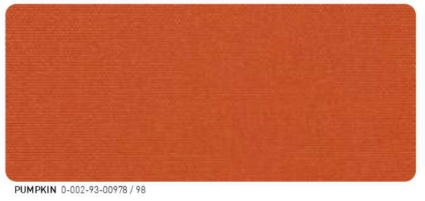 SOUTH BEACH BO PUMPKIN 93-00978 - 98